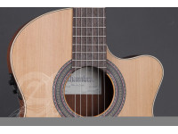 Alhambra Z-Nature CW EZ incl. Gig Bag Alhambra Z-Nature CW EZ incl. Gig Bag